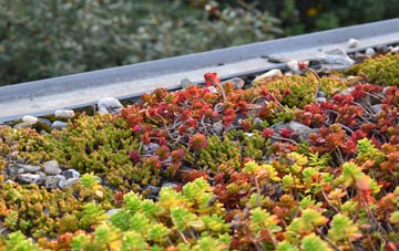 the cost of Calne Marsh green roof installation