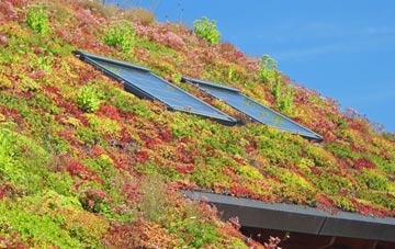 Calne Marsh living roof systems
