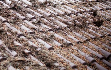 Calne Marsh roof cleaning companies