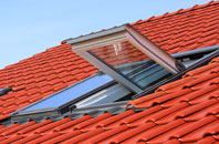 Calne Marsh roof window